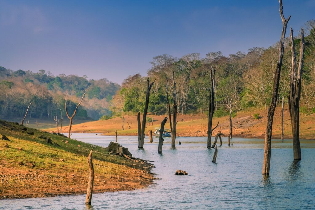 Wildlife Tourism In Kerala