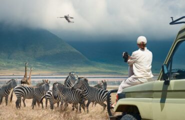 wildlife tourism